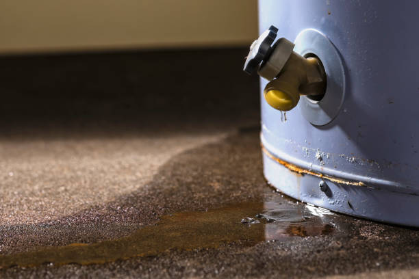  Linden, NJ Water damage restoration Pros