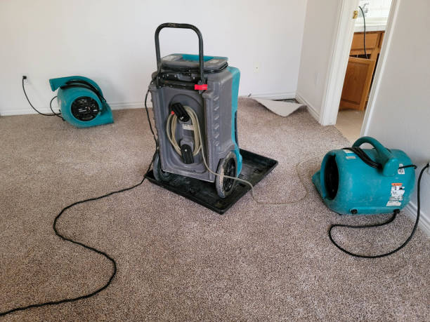 Best Sewage cleanup and water damage restoration  in Linden, NJ