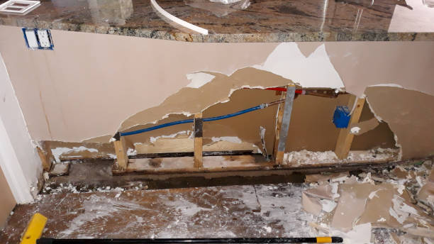 Best Flood damage cleanup  in Linden, NJ