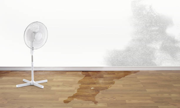 Best Local water damage restoration  in Linden, NJ