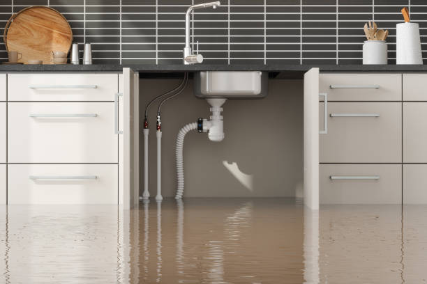 Best Water damage contractors near me  in Linden, NJ